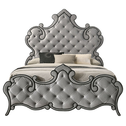 Perine - Bed