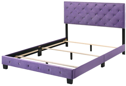 Suffolk - Queen Bed - Purple
