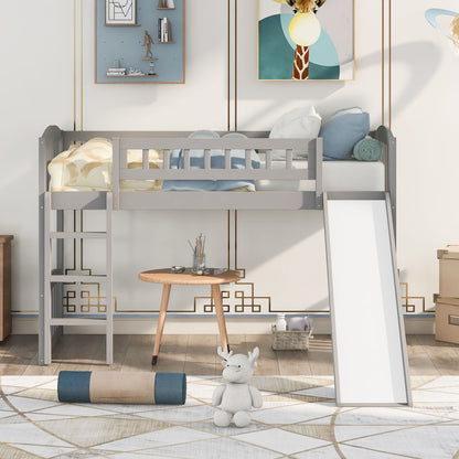 Loft Bed With Slide And Ladder